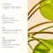 Evereden Golden Belly Serum 17 fl oz  Clean  Vegan Womens Belly Oil for Pregnancy and Postpartum  Clean Maternity Skincare  NonToxic Stretch Mark Oil