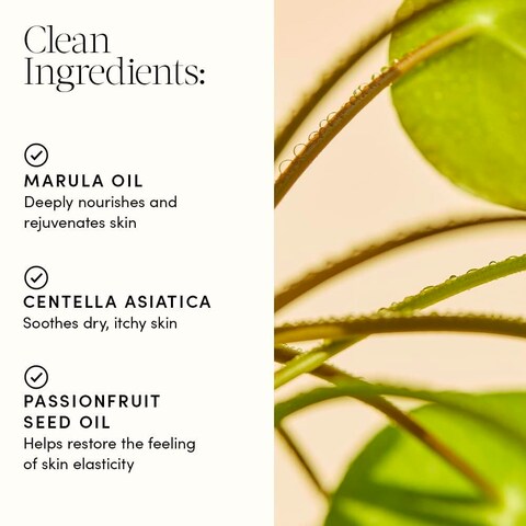 Evereden Golden Belly Serum 17 fl oz  Clean  Vegan Womens Belly Oil for Pregnancy and Postpartum  Clean Maternity Skincare  NonToxic Stretch Mark Oil