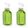 Bath and Body Works Eucalyptus Mint Gentle Foaming Hand Soap 875 Ounce 2Pack