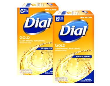 DialAntibacterial Soap Bar Gold 6 Count Pack of 2