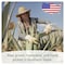 Seven Minerals Organic Aloe Vera Spray for Body  Hair  From Freshly Cut Aloe Plant Extra Strong Easy to Apply No Thickeners So It Absorbs Rapidly No Sticky Residue  Made in USA Big 12 fl oz