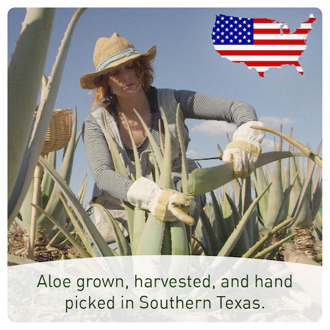Seven Minerals Organic Aloe Vera Spray for Body  Hair  From Freshly Cut Aloe Plant Extra Strong Easy to Apply No Thickeners So It Absorbs Rapidly No Sticky Residue  Made in USA Big 12 fl oz