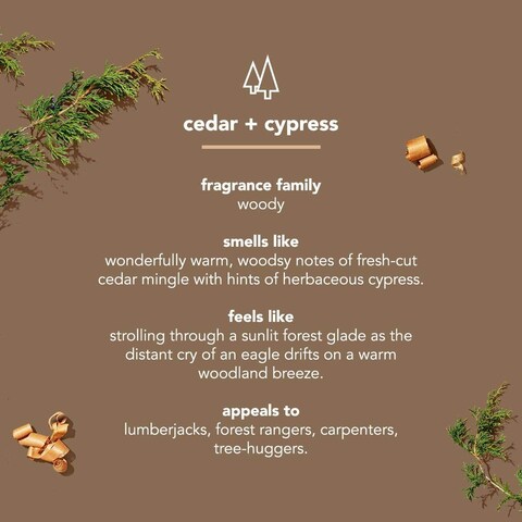 MethodMen Body Wash Cedar  Cypress Paraben and Phthalate Free 18 fl oz Pack of 1