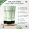 ECO amenities Travel Size Lotion Bulk  200 Pack 30ml 1 fl oz Tubes  Delight Guests with Refreshing Mini Hand Lotion Travel Size Toiletries  Individually Packed for AirBnBs Hotels Gyms Spas