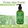 Aloe Vera Gel 100 Aloe Vera Organic from Freshly Cut Aloe Leaves Skin Care for Deeply  Rapidly Soothing Firming After Shave Sunburn Relieve etc