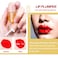KISSIO Natural Lip PlumperLip Plumping Lip GlossLip Plumper GlossDerol Lip PlumperMoisturizing Reduce Fine Lines 55ml For Day Ues
