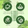 KBeauty NEOGEN DERMALOGY Makeup Remover Cleansing Stick with Green Tea Extract and Leaves  Hydrating Travel Size Essential Real Fresh Cleansing Stick Green Tea