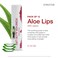 Forever Living  Forever Aloe Lips  Ultimate Lip Care for Any Weather  Moisturizing Lip Balm with Aloe Jojoba  Beeswax  Vegan  Pack of 12