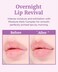 VDL Herbal Lipcerin 05fl oz  Bergamot Mallow Leaf Sage Long Term Moisturizing Plumping Conditioning Lip Gloss Balm Korean Skin Care Sleeping Mask for Dry Chapped Lips