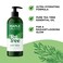 Tea Tree Oil Body Wash  Hydrating Shower Gel Tea Tree Body Wash for Women and Men  Women and Mens Body Soap with Peppermint and Tea Tree Essential Oil and Moisturizing Body Wash for Dry Skin Care
