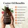 The Goodbye Company Extra Virgin Castor Oil  169oz  100 Pure Castor Oil Cold Pressed Unrefined HexaneFree  For Healthy Natural Skin Hair Growth and Eyelashes 500ml