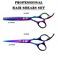 Professional Hair Cutting Shears Set6 Inch Barber Hair Cutting Scissors KitHairdressing Thinning Shears for Hair CuttingSharp Blades Haircut Scissors Kit for WomenMenKids Rainbow