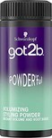 Got2B Schwarzkopf Powderful Unisex Root Hair Styling Powder For Instant Volume and Root Boost Vegan 10g