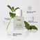 OUAI Scalp Serum  Balancing and Hydrating Serum with Red Clover Extract Siberian Ginseng and Peptides for Thicker and FullerLooking Hair  Paraben Phthalate and Sulfate Free Scalp Care 2 Fl Oz
