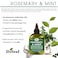 Difeel Rosemary and Mint Premium Hair Oil with Biotin 71 oz  Natural Rosemary Oil for Hair Growth  Biotin