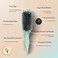 Bounce Curl Original Define EdgeLift Brush Teal