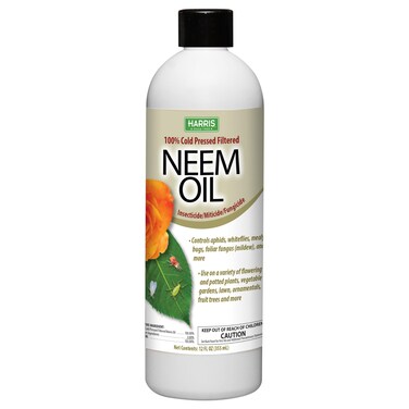 HARRIS Neem Oil 100 Cold Pressed and Unrefined Concentrate for Plant Spray High Azadirachtin Content 12 Ounce for Aphids Whiteflies Mealy Bugs and More