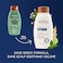 Aveeno Fresh Greens Blend Natural Volumizing Shampoo Cucumber Rosemary for Fine Hair 12 fl oz