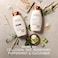 Aveeno Fresh Greens Blend Natural Volumizing Shampoo Cucumber Rosemary for Fine Hair 12 fl oz