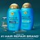 OGX Renewing  Argan Oil of Morocco Shampoo  Conditioner Set 13 Fl Oz Pack of 2 packaging may vary Blue