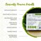 Viori Tea Tree Mint Essential Oil Shampoo Bar Made with Rice Water  Handcrafted All Natural Shampoo Bars  Sulfate Free Shampoo
