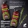 Rosemary Shampoo and Conditioner Rosemary Oil Shampoo Promotes Hair Growth  Scalp Health Rosemary Shampoo for Hair Growth Organic  Sulfate  Paraben Free for Men Women  16 fl oz each