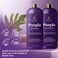 Purple Shampoo and Conditioner Set  Sulfate Free Enriched with Coconut Oil  Aloe Vera Ideal for Blonde Gray Brassy  Color Treated Hair Nourishes  Hydrates  16 fl oz each