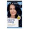 Clairol Nicen Easy Permanent Hair Dye 1BB deepest blue black Hair Color Pack of 1