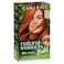 Clairol Natural Instincts Bold Permanent Hair Dye C64 Copper Sunset Hair Color Pack of 1