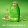 OGXExtra Strength Refreshing Scalp  Rosemary Mint Conditioner Nourishing Hair Conditioner Infused with Rosemary Mint for Shiny HealthyLooking Hair SulfateFree Surfactants 13 fl Oz