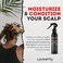 LocsanityBOLD Moisturizing Loc Spray  Natural Locs Care Dreadlock Maintenance  Hair Scalp Moisturizer Conditioning Spray for Dreads Braids 8oz