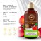 WOW Skin Science Apple Cider Vinegar Shampoo  Hair Growth Shampoo For Thinning Hair Hair Loss  Dandruff Shampoo  Parabens  Sulfate Free Shampoo Brown 169 Fl Oz Pack Of 1
