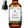 Rice Water For Hair Growth by Baja Basics Thickness Strength Shine  Leavein Conditioner for Scalp Dry Split End Moisturizer  Mist Spray for Curly Straight Thick Thin Hair 4oz