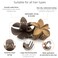 Nonslip Matte Flower Hair Claw Clips  Aesthetic Plumeria Accessories for Women with Thick or Thin Hair