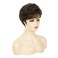Short Brown Pixie Wig Synthetic Layered Cosplay Hair Full Wigs for White Women Brown mixed Blonde