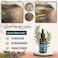 Live Fraiche Rosemary Oil for Hair Growth 2oz with Cold Pressed Castor Oil Natural Hair Growth Oil  Rosemary and Castor Oil for Hair Growth Strengthening Hair Oil for Damaged Hair and Hair Loss