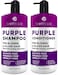 Purple Shampoo and Conditioner Set for Platinum Blonde Silver Light Bleached and Grey Hair  Sulfate and Paraben Free Professional Salon Grade Toner 2 x 169 fl oz  for Women and Men