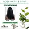 Difeel Rosemary Mint Strengthening Shampoo with Biotin 12 oz  Made with Natural Rosemary Oil for Hair Growth