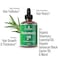 Rosemary Oil for Hair Growth For Men  Women  No Harsh Scent or Scalp Burn Topical Treatment For Hair Loss Prevention Hair Thickness Regrowth With Jojoba Jamaican Black Castor Peppermint 1oz