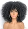 RunM Short Curly Afro Wig With Bangs for Black Women Kinky Curly Hair Wig Afro Synthetic Full WigsBlack