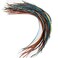 Feather Hair Extensions  20 Long Thin Real Rooster Feathers Ranging from 8 to 11 Inches Includes 20 Beads and Loop Tool Kit