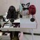 Wig Stand 1PC Adjustable Height Portable Wig Holder Stands NonSlip Wig Head Holders Sturdy Plastic Wig Head Stand for Multiple Wigs and Hats Styling Drying Display Black
