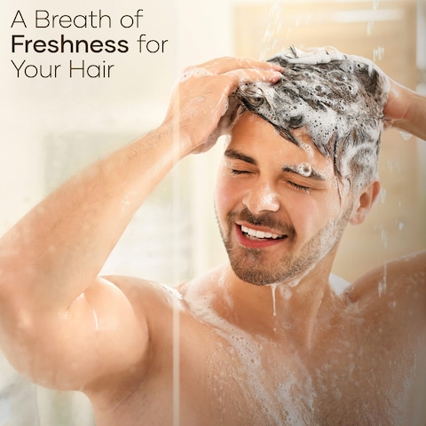 Hair Thickening Shampoo and Conditioner Set  Volumizing  Growth Support with DHT Blockers Biotin Keratin Tea Tree Oil Caffeine Saw Palmetto Extract  Men  Women  16 fl oz Each