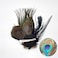 Hair Clip Cute Peacock Feather with Rhinestones Charming Peacock Headpiece Feather Hair Accessories for Women Weddings Parties Halloween Set of 2