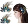 Hair Clip Cute Peacock Feather with Rhinestones Charming Peacock Headpiece Feather Hair Accessories for Women Weddings Parties Halloween Set of 2