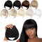 Black Bangs Hair Clip in Bangs Black Synthetic Flat Bang with Temples Front Face Black Bangs for Women Natural Black