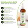 Rosemary and Rice Hair Growth Spray  With Biotin Castor Peppermint Tea Tree Oil  More  For Thicker Fuller Hair by Existing Beauty 4oz