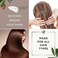 Argan Magic Restorative Hair Mask  Protein Rich Conditioning Hair Mask that Hydrates Restores And Repairs Damaged Hair  Made in USA Paraben Free Cruelty Free 12 oz