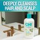 CHI CleanCare Clarifying Shampoo Deeply Cleanses Hair  Scalp Removes Build Up  Restores Moisture To Hair Sulfate Paraben  CrueltyFree 12 Oz