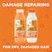 GarnierFructis Damage Repairing Treat Conditioner 98 Naturally Derived Ingredients Papaya Nourish Dry Damaged Hair 118 Fl Oz